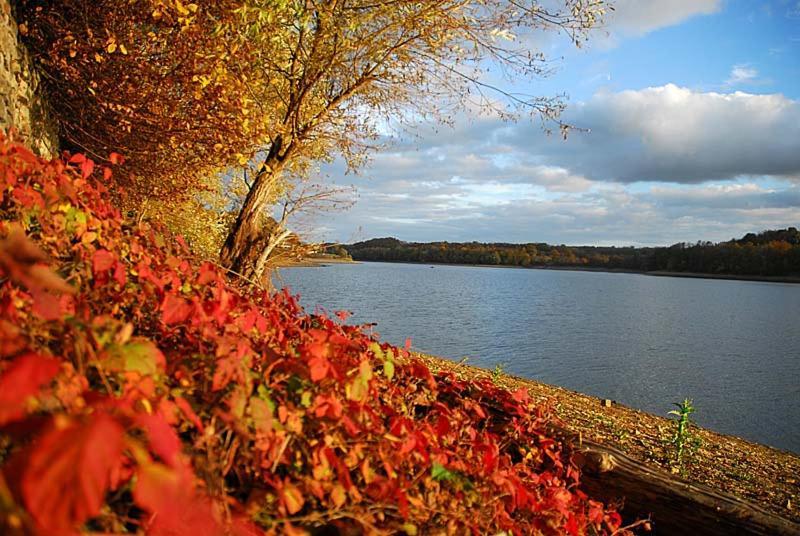 Maison Bord De Lac De Charmes Bannes  Екстер'єр фото